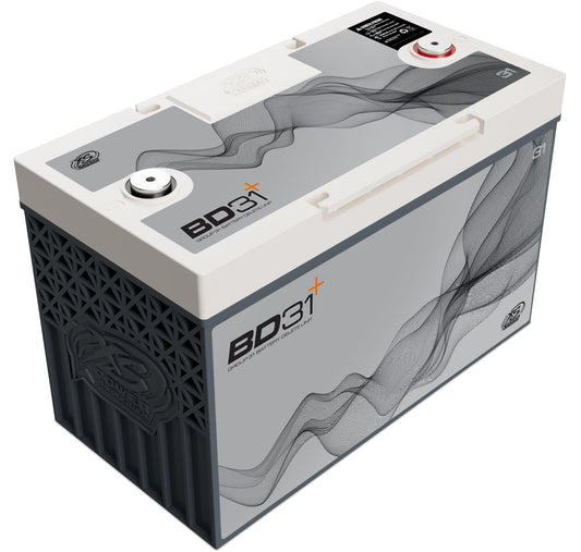 BD31
