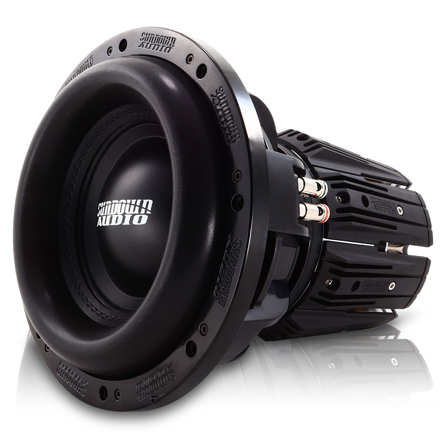 Nightshade NS-Series NS6 10" 3500W Subwoofer NS v.6 - D2