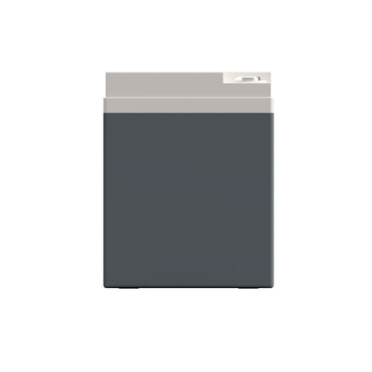 XS Power S975 12V AGM Racing Battery