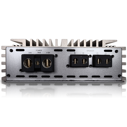 SALT-2 Class D Amplifier