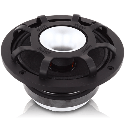 ECX-6.5 6.5" 6-1/2 Pro Sound Coaxial Speakers