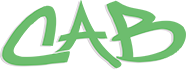 Car Audio Bargain