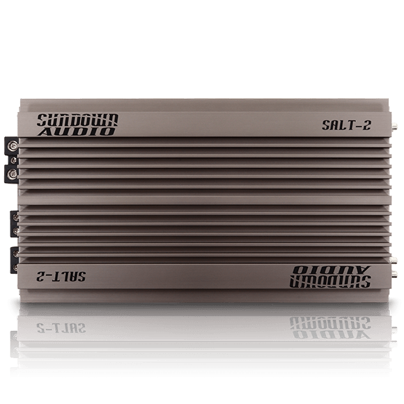 SALT-2 Class D Amplifier