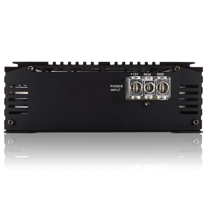 SFB-1000D Full Range Amplifier v.2